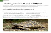 Абисинска генета (Genetta abyssinica) Влечугите …комуникация както и на типографски грешки: list.pdf (49.79K) Шипобедренатата