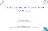 Il calorimetro dell'esperimento PAMELApersonalpages.to.infn.it/~arcidiac/CalorimetroPamela_Trocino.pdf · • PAMELA è in orbita e raccoglie dati da più di 2 anni • Il calorimetro