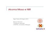 Akoma Ntoso e NIR - AgID · Akoma Ntoso e NIR Agid, Roma 25 Giugno 2015 Monica Palmirani Professore Associato CIRSFID, Università di Bologna