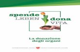 La donazione degli organi - Provincia autonoma di Bolzano€¦ · fegato e di alcuni tessuti da donatore vivente. 5. Sono necessari accertamenti medici per diventare donatore di organi?