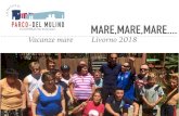 Vacanze mare Livorno 2018 - Fondazione Polis · Per Il MARE: 1. 2 costumi da mare 2. 1 cuffia per la piscina 3. Asciugamano da mare 4. Paio di ciabatte per il mare 5. 1 cappellino