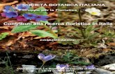 SOCIETÀ BOTANICA ITALIANA · 2015-06-24 · SBI Gruppo per la Floristica — 2013 5. Veronica orsinianaTen. subsp. orsiniana). Per la Basilicata abbiamo una specie di nuova segnalazione