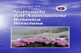 Anno 2013 – N°6 - Associazione Botanica Bresciana · viva in noi la fiducia nei nuovi Consiglieri che sapranno lavorare per il servizio comune con grande entusiasmo, consapevoli