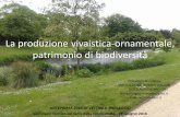 La produzione vivaistica-ornamentale, patrimonio di ...€¦ · nelle zone rurali e dei servizi comunali di base, nonché di piani di tutela e di gestione dei Siti Natura 2000 e di