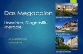 Das Megacolon Ursachen, Diagnostik, Therapie Megacolon.pdf · Epidemiologie Genaue Inzidenzdaten liegen nicht vor Gleichmäßige Alters- und Geschlechtsverteilung In 1-5% bei CED
