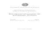 Reti separate ed equazione del determinante Jacobianomonti/tesi/Manfredi_Pivetta.pdf · 2015-07-24 · RETI SEPARATE ED EQUAZIONE DEL DETERMINANTE JACOBIANO MANFREDI FEDERICO PIVETTA
