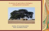 Il sistema di agricoltura biologica: adempimenti …...prodotti sani, sicuri, nutrienti ottenuti nel rispetto dell’ambiente da parte dei processi produttivi ottenuti nel rispetto