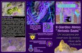 Brochure giardino botanico Vazzoler · 2017-05-25 · Saxifraga crustata Physoplexis comosa Agordo Alleghe. IL BOSCO DI CONIFERE La pecceta subalpina è dominata dall’abete rosso
