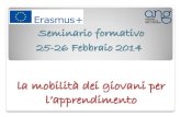 Seminario formativo 25-26 Febbraio 2014 · 2014-03-06 · Mobilità per i giovani e gli animatori giovanili Servizio Volontario Europeo (SVE) Partecipanti: giovani di 17-30 anni che