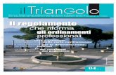 Triangolo n 4 - 210x285collegio.geometri.bg.it/pdf/2013/12073.pdf · 2013-12-06 · Triangolo n 4 - 210x285 2-01-2013 13:45 Pagina 4 La regione Lombardia ha, in tempi recenti, approvato