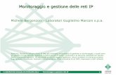 Monitoraggio e gestione delle reti IP - unibo.itlia.deis.unibo.it/.../MonitoraggioGestioneRetiIP_2013.pdf · 2013-04-11 · lo spazio di Internet gli spazi IP privati di ciascun cliente