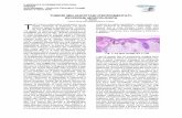 TUMORI MELANOCITARI IPERPIGMENTATI: REVISIONE …xoomer.virgilio.it/cylagu/SMA-Urso2018.pdf · 2018-04-08 · X GIORNATA DI DERMATOPATOLOGIA FIRENZE Aula Morgagni – Anatomia Patologica