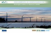 Do umento di orientamento UE allo sviluppo dell’energia ... · L’energia eolica in Europa è cresciuta rapidamente nell’ultimo decennio. Nel 2008, rappresentava circa il 4,8%