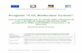 Progetto CO2 Reduction System - Portale PIAVe 3. Elaborazione del piano esecutivo di progetto 3.1. Obiettivi dell’azione Il piano esecutivo di progetto è stato elaborato e redatto