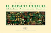 Bosco ceduo tutto - WordPress.com · 2020-04-17 · Orazio Ciancio - Susanna Nocentini Accademia Italiana di Scienze Forestali IL BOSCO CEDUO Selvicoltura Assestamento Gestione