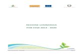 REGIONE LOMBARDIA POR FESR 2014 - 2020reteambientale.minambiente.it/sites/default/...POR... · POR Lombardia 2014 – 2020 FESR Pagina 2 PANAGRAFICA DEL PROGRAMMA Programma Operativo