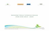 REGIONE FRIULI VENEZIA GIULIA POR FESR 2014 - 2020reteambientale.minambiente.it/sites/default/files/...La Strategia del POR FESR FVG 2014-2020 definisce le linee di intervento prioritarie,