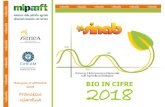 BIO IN CIFRE 2018 - home | Sinabsinab.it/sites/default/files/share/Bio in Cifre 2018. I...Evoluzione del bio italiano dal 2010 ad oggi: La superficie biologica sfiora i 2 milioni di