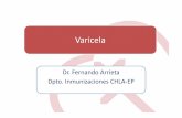 Varicela Vacuna Varicela - CHLAEP · Agente: Virus Varicella Zoster, familia ... 5 días antes del parto y hasta 2 días después ... en el primer trimestre del embarazo) • Las