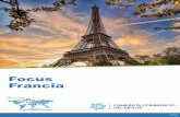 Focus Francia - Camera di Commercio Udine · strumento informativo in grado di fornire notizie e dati macroeconomici/politici su uno dei mercati esteri ritenuti, al ... 2015-2016,
