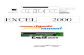 Excel 2000 CEDIC - sguassero.eu · SCUOLA DI INFORMATICAA. CAPITOLO 1 Elementi introduttivi Excel è un software che rientra nella categoria più generale nota come fogli di calcolo.