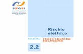 Sistema di Riferimento Veneto per la Sicurezza nelle …...2013/10/02  · RISCHIO ELETTRICO Interferenza con i segnali elettrobiologici delle fibre nervose e muscolari: Ustioni (provocate