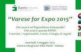 “Varese for Expo 2015” · Che cosa è questa Esposizione Universale • Sei mesi di durata dal 1 maggio al 31 ottobre 2015 • 110 ettari di esposizione: 80 spazi espositivi per