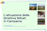 L’attuazione della Direttiva Nitrati in Campania...l’individuazione di aree dove insistono suoli vulnerabili ai processi percolativi Suoli con bassa capacità di attenuazione in