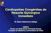 Cardiopatías Congénitas de Resorte Quirúrgico Inmediato · Dario Paladini; Paolo Volpe - Ultrasound of Congenital Fetal Anomalies: Differential Diagnosis and Prognostic Indicators