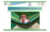 NEUTROPENIA IN EPOCA NEONATALE - unito.it...2009/10/09  · Nel neonato la conta dei neutrofili nel sangue periferico èsimile a quella dell’adulto, ma la massa totale di neutrofili
