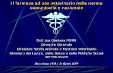 Il farmaco ad uso veterinario nella norma comunitaria e ... · • Linea guida relativa alla procedura semplificata per l’autorizzazione all’immissione in commercio di medicinali
