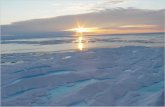 La tundra - geostorie.it · La Tundra rappresenta uno dei biomi più freddi e aspri della terra. Gli ecosistemi della Tundra sono costituiti da regioni brulle che si estendono nell’Artide