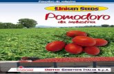 Pomodoro - UnigenSeedsItaly EN 2019-01-28آ  Pomodoro da industria Pomodoro da industria â€¢ Ibrido precoce