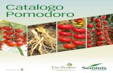 Pomodoro · 2014-06-25 · 7 | POMODORO Tombola F1 Insalataro per raccolta a frutto singolo invaiato. Ciclo: medio-precoce. Pianta: vigorosa e provvista di foglie verdi scure e coprenti.