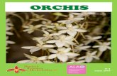 orchis - Alao...materiale appartenente alle due associazioni, a partire dal patrimonio librario, periodico e audiovisivo, sarà disponibile e fruibile a tutti all’interno delle due