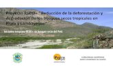 Presentaci n de PowerPointaider.com.pe/corefor/ponencias/AIDER-REDD+BosqueSeco10... · 2017-12-18 · Lambayeque: 13 200 hectáreas ... • Tasa de deforestación neta 0% al 2021