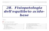 Fisiopatologia dell'equilibrio acido-base · Lezioni di Patologia generale Capitolo 28. Fisiopatologia dell'equilibrio acido-base. 5 28.1.4. CLASSIFICAZIONE FLa classificazione delle