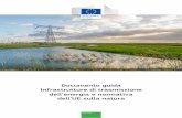 Documento guida Infrastrutture di trasmissione …ec.europa.eu/environment/nature/natura2000/management/...I siti Natura 2000 non sono concepiti come "zone vietate", e nuovi sviluppi