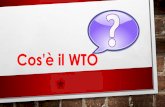 Cos'è il WTO … · servizi, ed esclude esplicitamente solo i servizi “offerti nell’esercizio dell’autorità governativa”, ovvero: la difesa, l’ordine pubblico, la magistratura