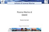 Ricerca Marina di ISMAR · CNR –ISMAR Oceanografia (fisica, chimica e biologica) e geologica marina Sede: Venezia Centri di ricerca: Trieste, Bologna, Lerici, Rome, Naples Personale: