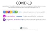 Presentazione standard di PowerPoint › Coronavirus › Covid... · di un gruppo di professionisti che operano nelle Aree ad elevata incidenza. Tali considerazioni hanno come obiettivo