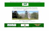 Inventario Nazionale delle Foreste e dei Serbatoi ... · INFC – Inventario Nazionale delle Foreste e dei Serbatoi Forestali di Carbonio Questo testo e le procedure che descrive