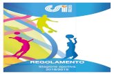 REGOLAMENTO · Over 40 - Amatori - Open - Top Junior - Juniores - Allievi – Ragazzi – Under 13 - Under 12 – Under 11 - Under 10 - Under 9 Big Small - Primi Calci - Minivolley