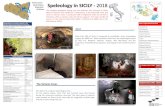 Speleology in SICILY - 2018 · 2018-08-10 · Speleology in SICILY - 2018 Abisso del Vento (PA) Zubbia Camilleri (AG) Zubbia Camilleri (CL) Abisso del Vento (PA) Bocca Bassa –Etna