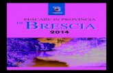 OP pescare in provincia 2014 · Pescare in provincia di Brescia 2014 Caccia e Pesca L’edizione 2014 dell’opuscolo dedicato alla pesca dilettantistica nella provincia di Brescia