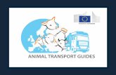 Guide Pratiche Europee al trasporto animale di · 2017-11-29 · Pendenzaella d rampa più bassa possibile Itinerarioenza s ostacoli, né contrasti luminosi Lettieraistribuita d su