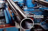 stabilimento di Boltiere - Marcegaglia · PDF file 2019-05-02 · Lo stabilimento Lo stabilimento Marcegaglia Carbon Steel di Boltiere (Bergamo) è specializzato nella produzione di