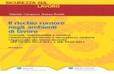 Il rischio rumore negli ambienti di lavoro - Mega Italia Media · 2019-06-21 · G. Campurra, A. Rotella Il rischio rumore negli ambienti di lavoro Il rumore all’interno degli ambienti