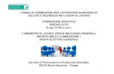 CORSO DI FORMAZIONE PER LAVORATORI IN MATERIA DI FORMAZIONE SPECIFICA L'AMBIENTE DI ... · 2020-04-07 · 1 22/10/19 1 Servizio di Prevenzione e Protezione Aziendale IRCCS Burlo Garofolo
