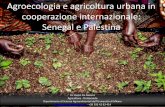 cooperazione internazionale: Senegal e Palestina · Dr. Pietro De Marinis Agricoltore - Dottorando Dipartimento di S ienze Agroamientali dell’Università di Milano pietro.demarinis@unimi.it